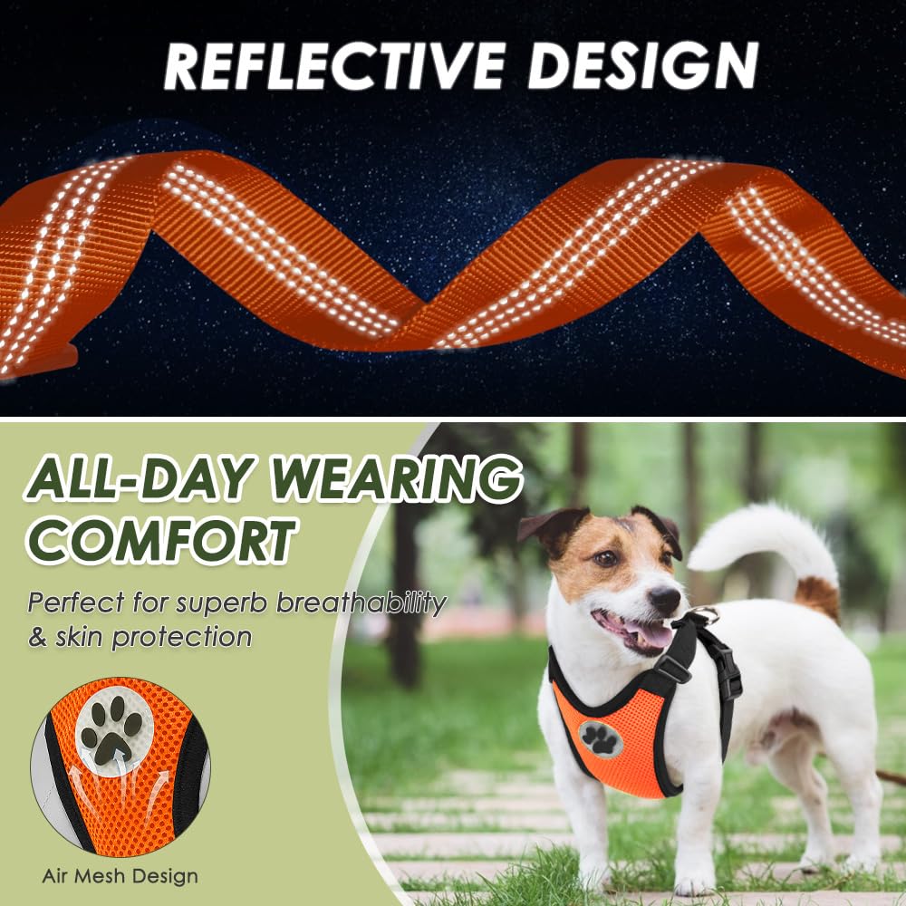 Lukovee compact travel restraint for safer car trips
