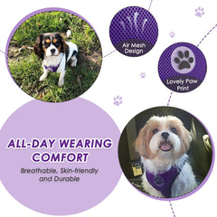 Lukovee elastic strap keeps your pet safe with flexible movement during drives.