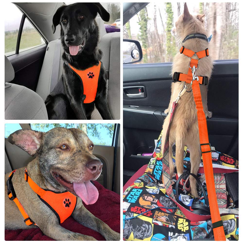 Lukovee multi-size harness accommodating small, medium, and large dogs