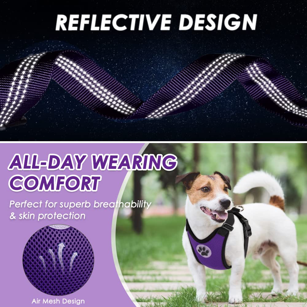 Lukovee travel restraint use demonstrates back-seat safety for pets.