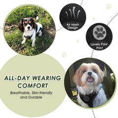 Lukovee dog seatbelt headrest-attachment enables flexible car installation