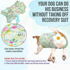 Lukovee adjustable waist dog suit offers a snug fit for different abdomen sizes