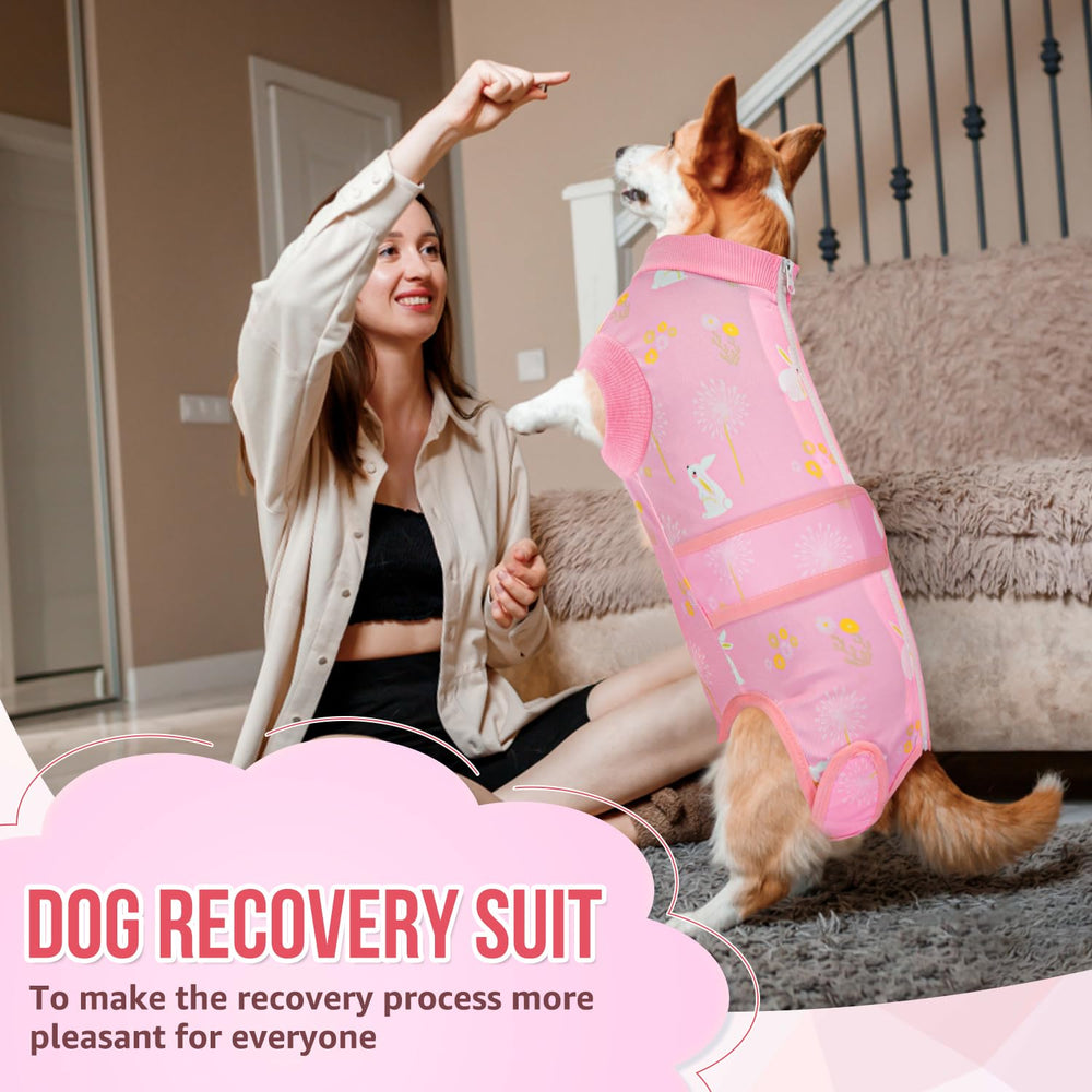 Lukovee Recovery Suit for Dogs available in 8 sizes for a better fit