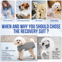 Lukovee Recovery Suit for Dogs features soft breathable fabric for calm, comfortable recoveries.