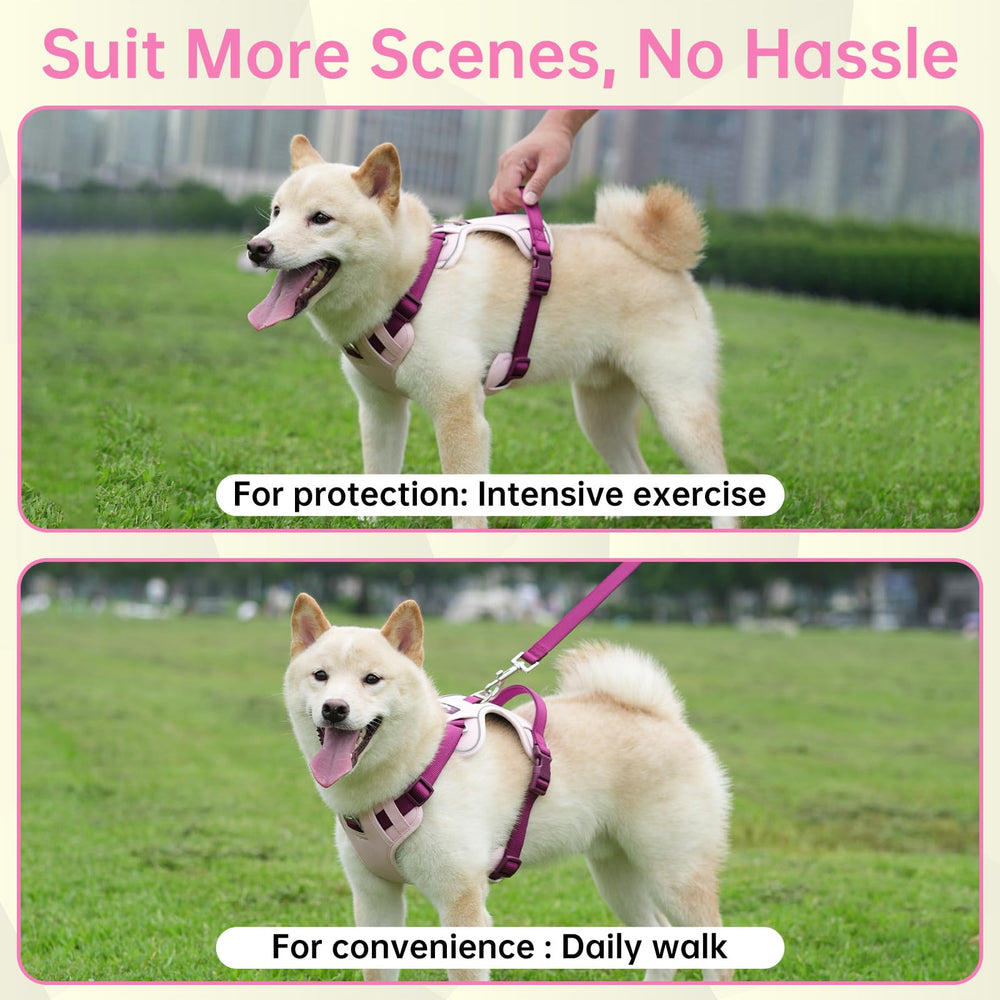 LULUPET night-walk visibility pink small with reflective design
