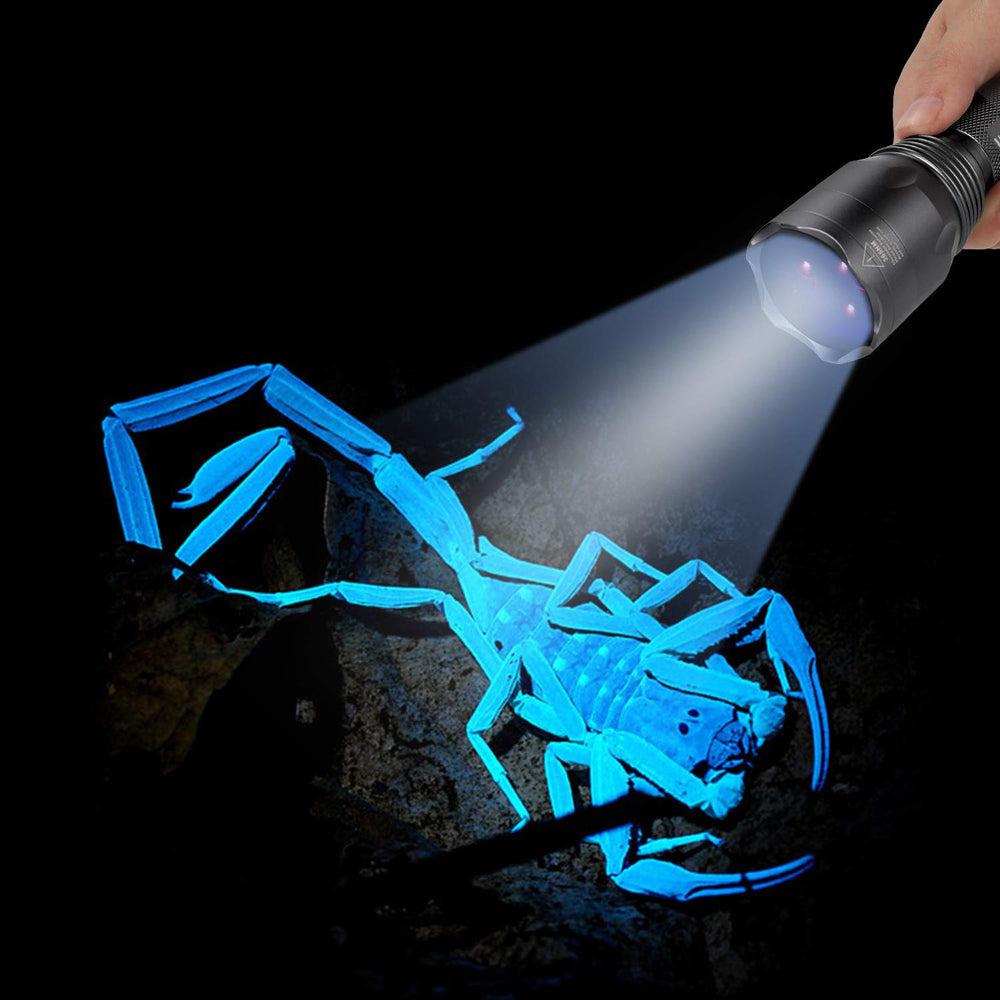 LUMENSHOOTER S3 pet urine detection helps identify dry stains and prioritize cleaning