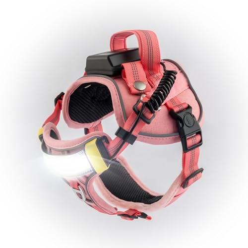 Lumi One 1000-lumen LED on harness provides bright illumination for evening outings.