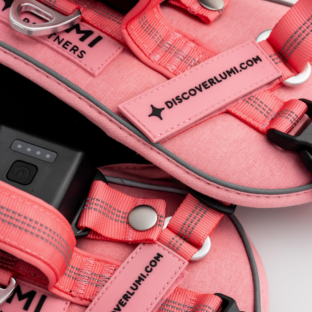 Lumi One high-visibility harness supports safer city and trail explorations.