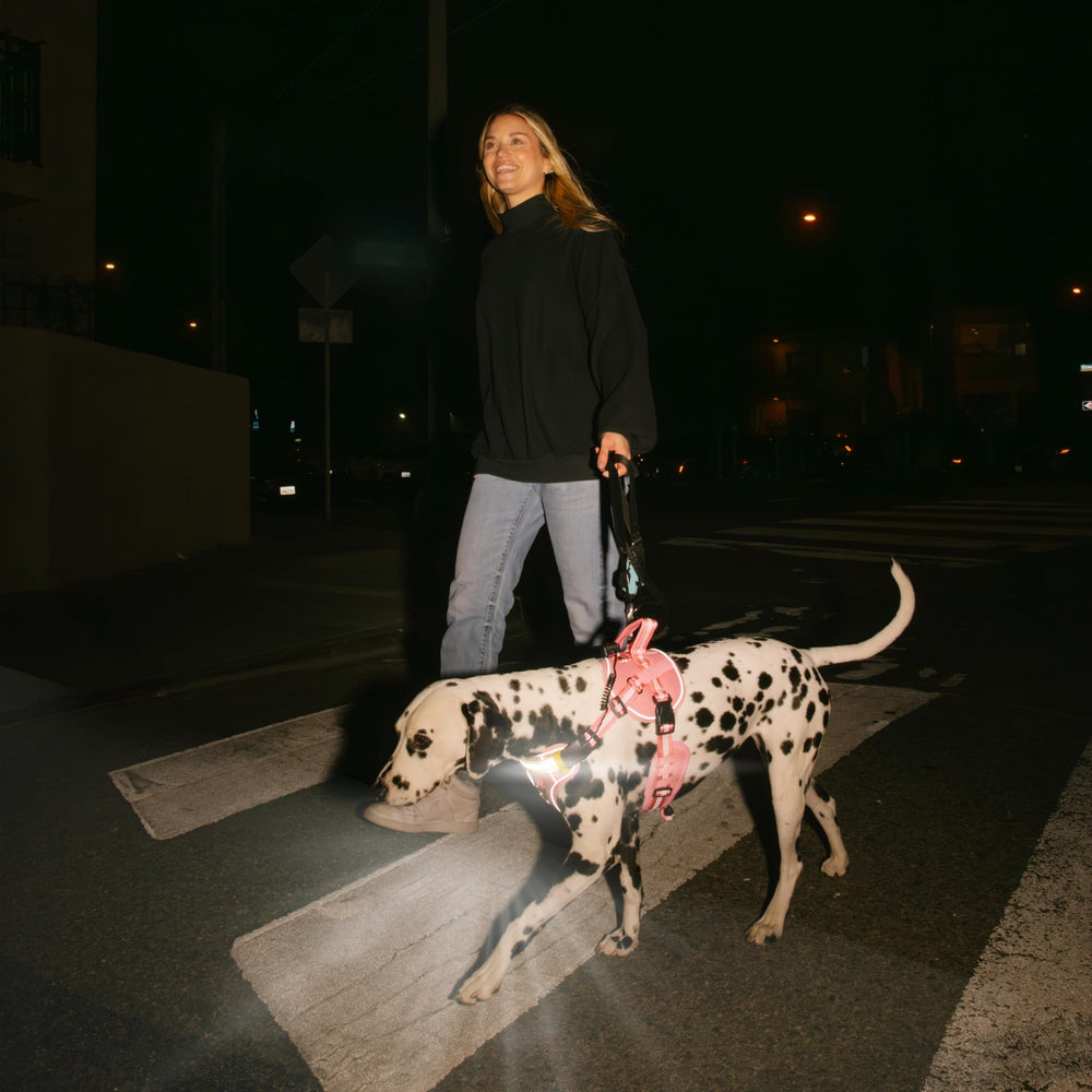 Lumi One pink large harness suits small and medium dogs for night walks.