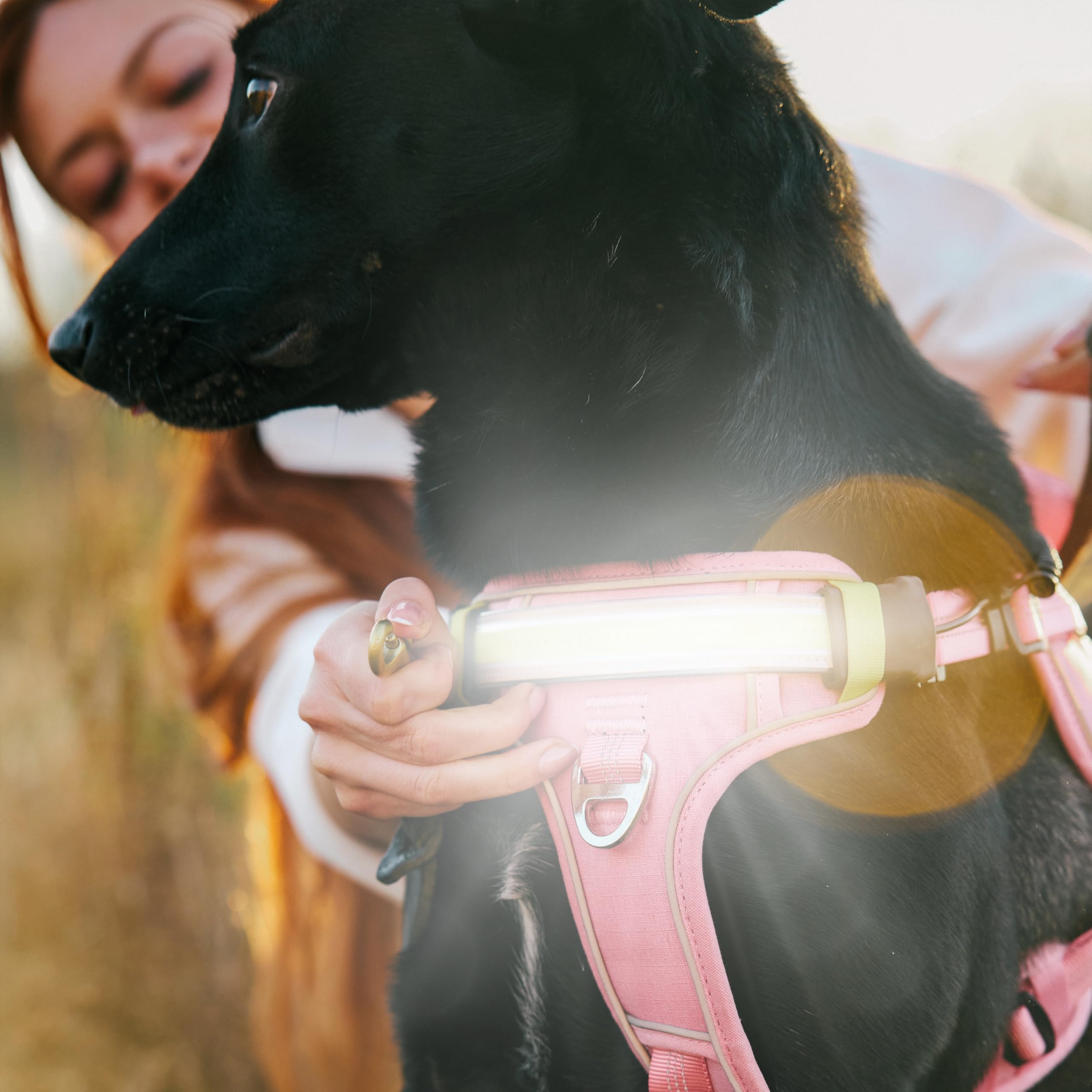 Lumi One easy recharge and simple switch keep after-dark lighting ready.