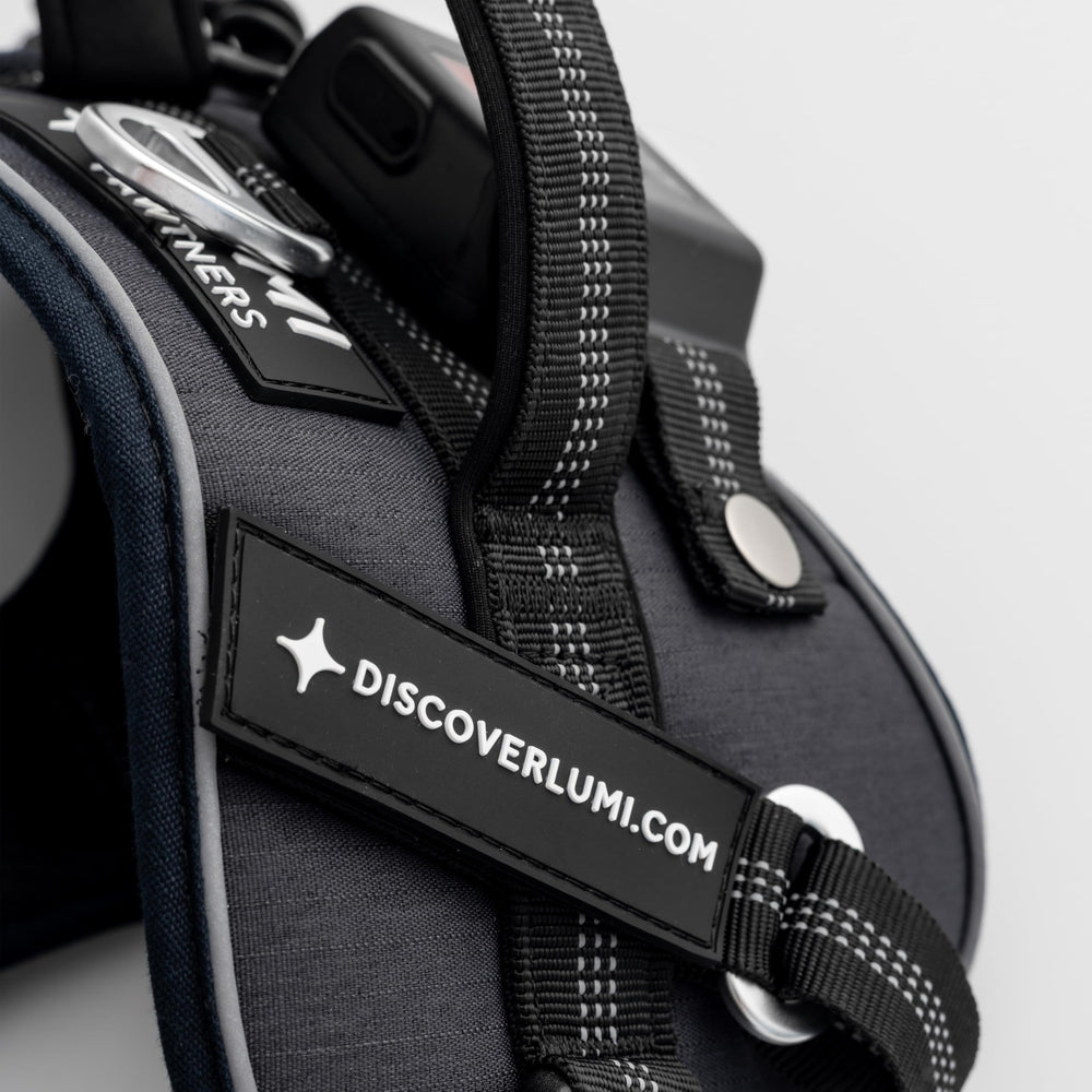 Lumi Pawtners Lumi One harness packaging showcases patent-pending design.