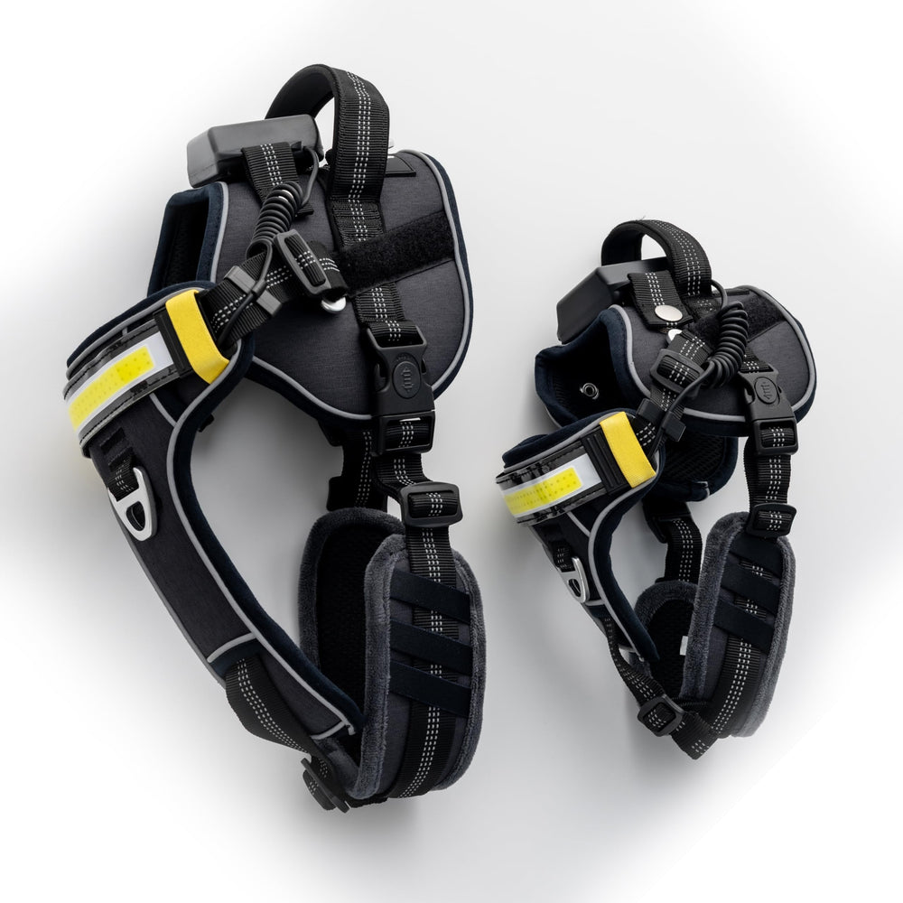 Lumi Pawtners Lumi One harness uses a rechargeable battery for long outings.