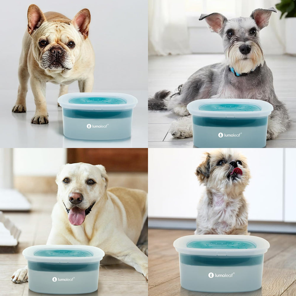 LumoLeaf No Spill Water Bowl blue dog with fur dry demonstrates dryness benefits.