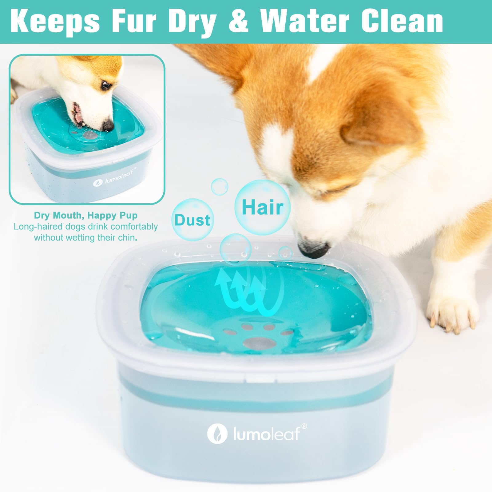 LumoLeaf No Spill Water Bowl blue in-car travel setup for road trips.