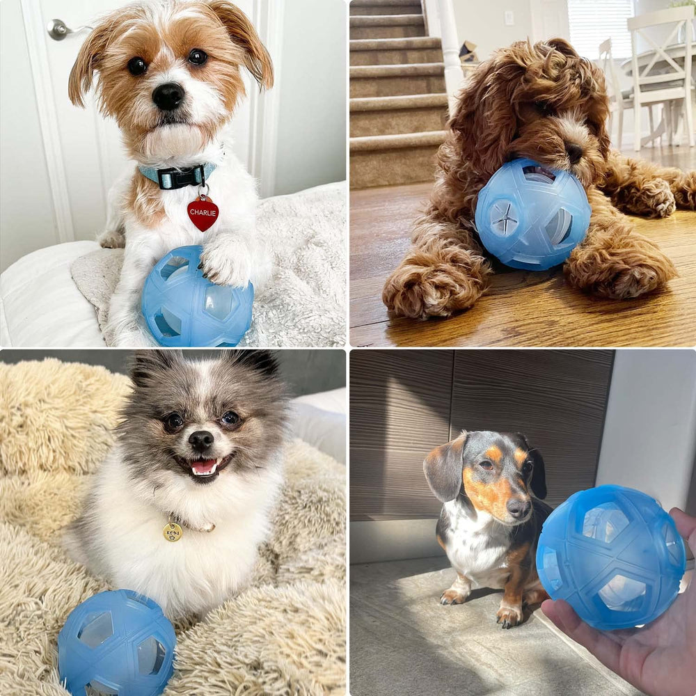 LumoLeaf treat ball indoor-use blue image highlighting indoor play.