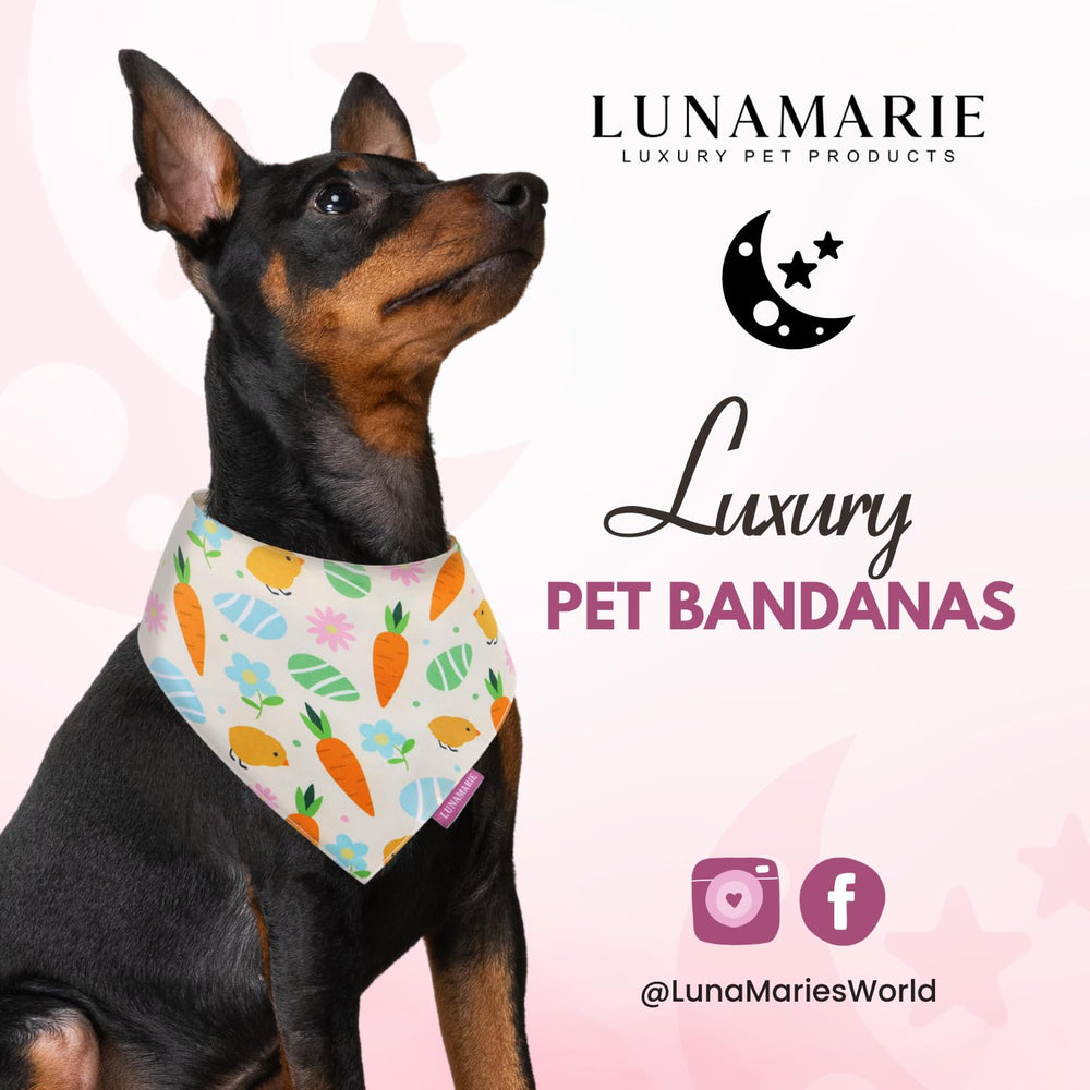 LunaMarie dual-layered bandana close-up showing durability for active dogs.