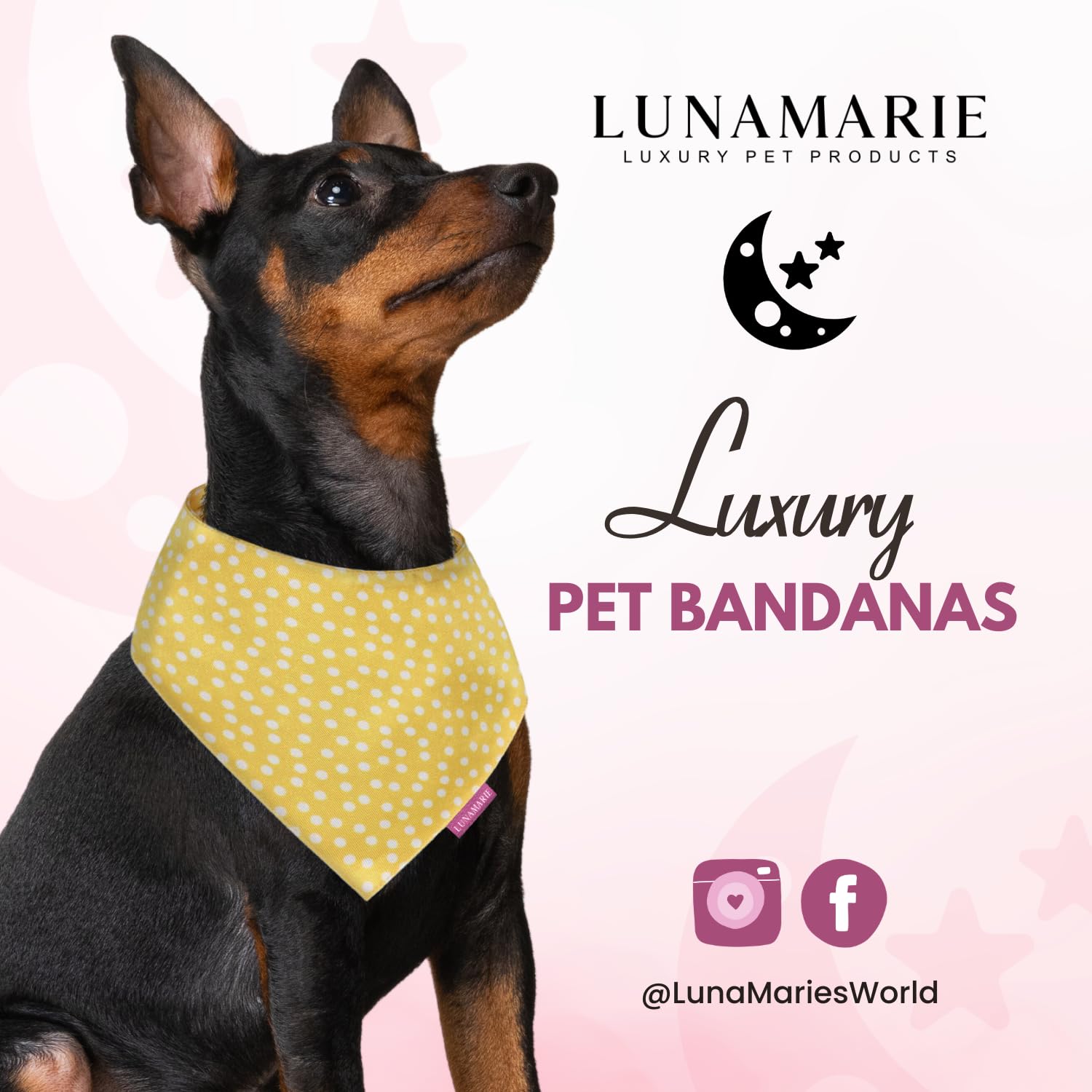 LunaMarie luxury pet birthday bandana with a V-shaped design reducing bulk