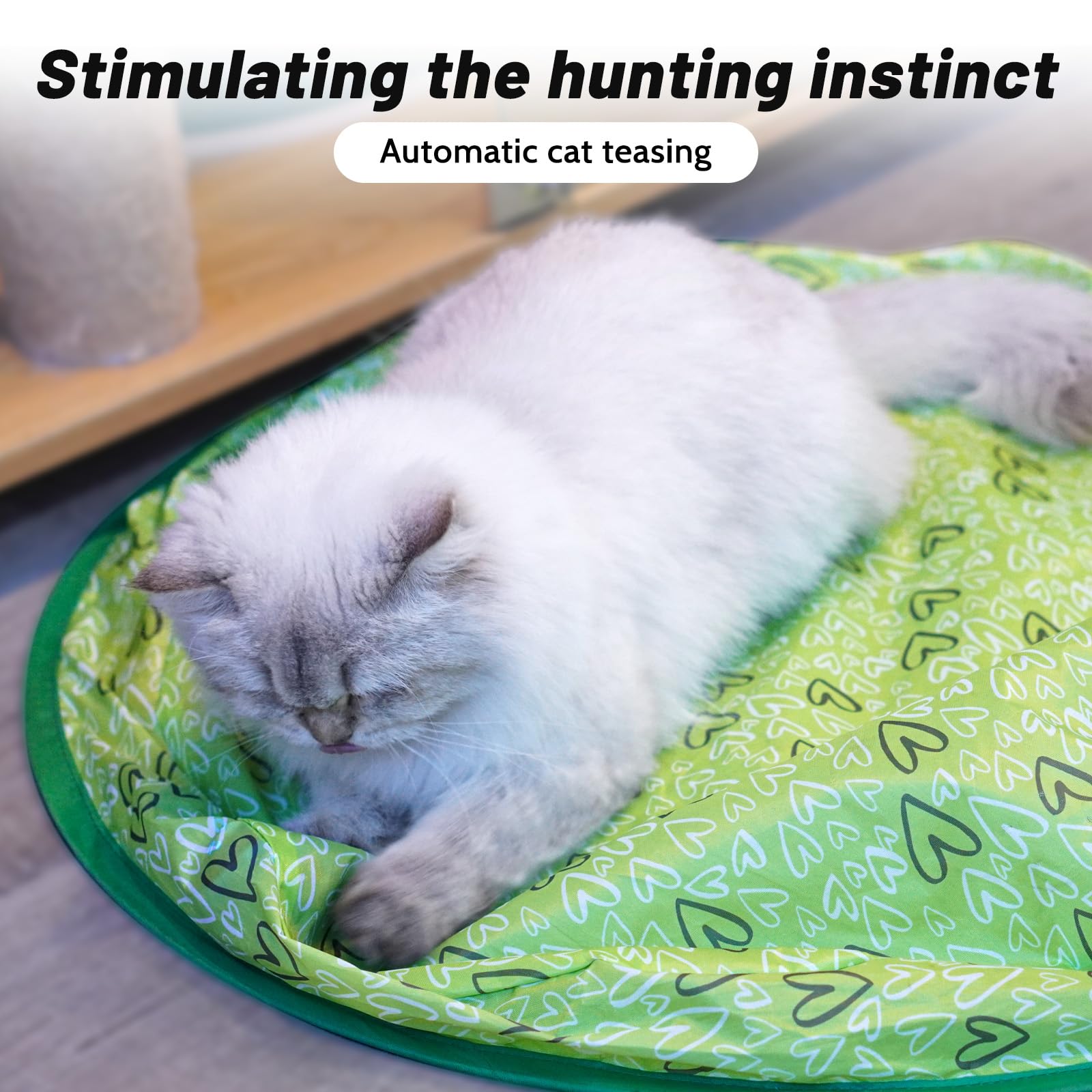 LUPAPA 2-in-1 package offers catching cover and ball for quick setup.