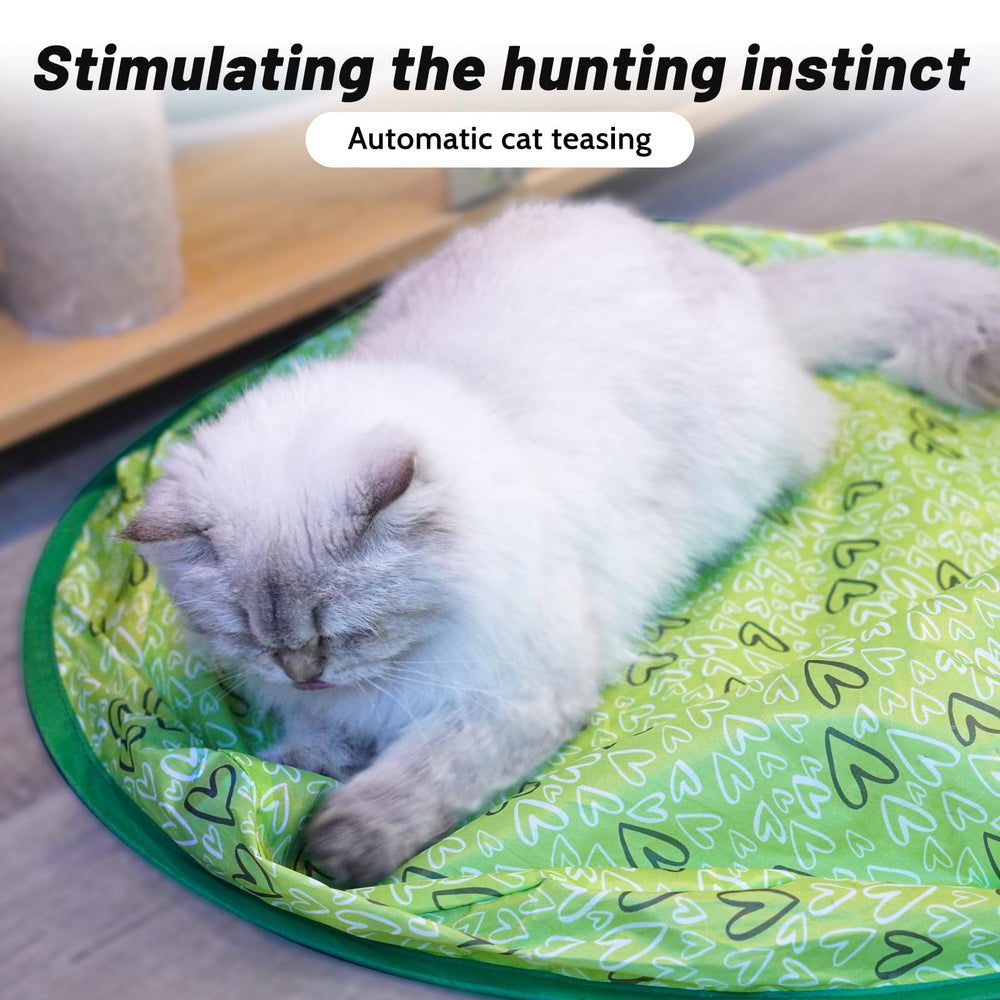 LUPAPA 2-in-1 package offers catching cover and ball for quick setup.