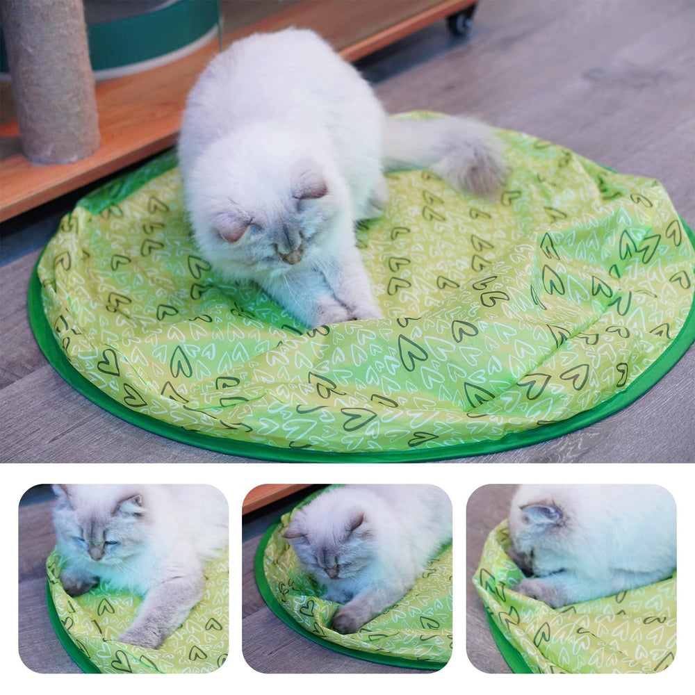 LUPAPA high-quality ABS material emphasizes durability during playful clawing.