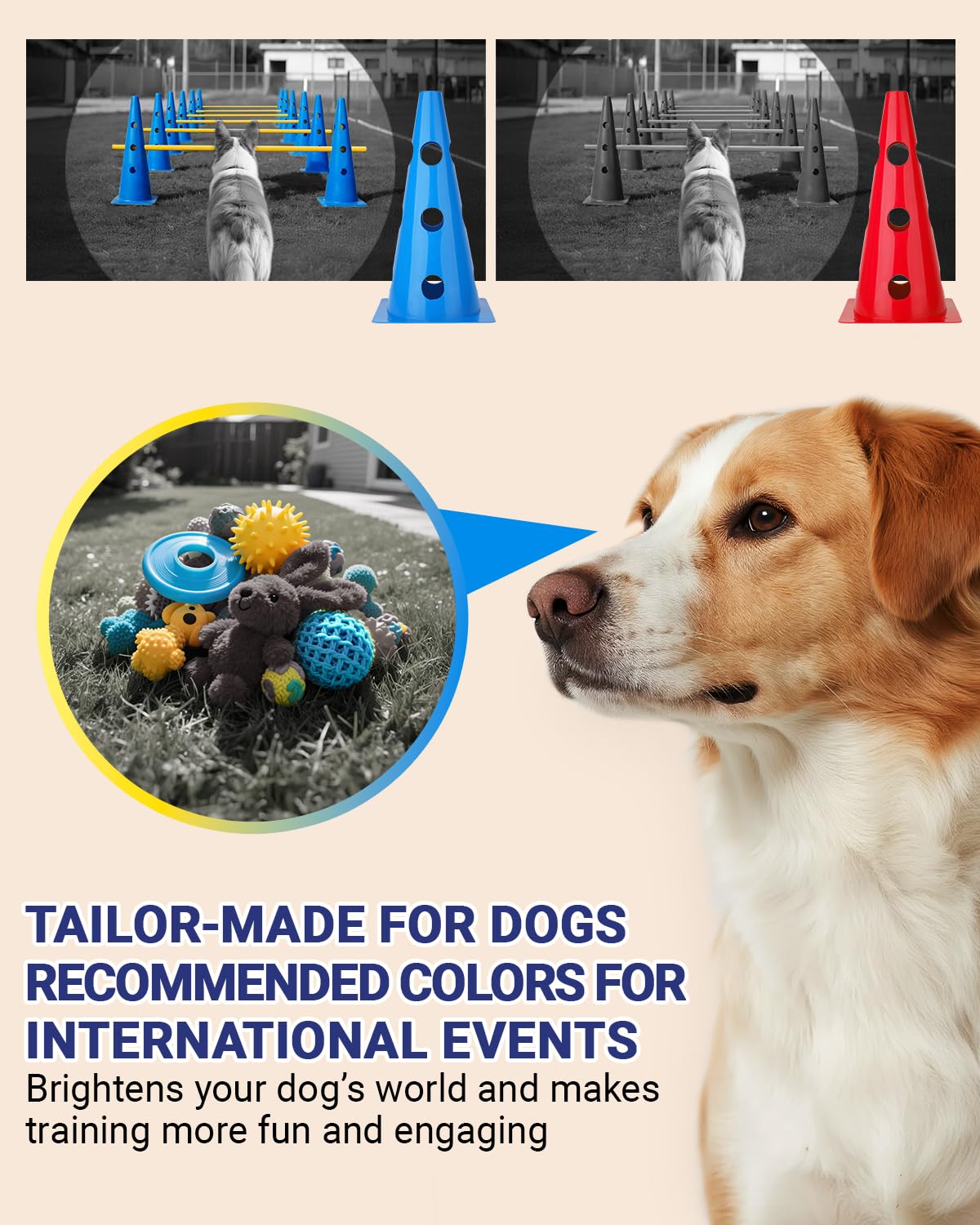 Lupar dog agility cones nest for compact storage after practice sessions.