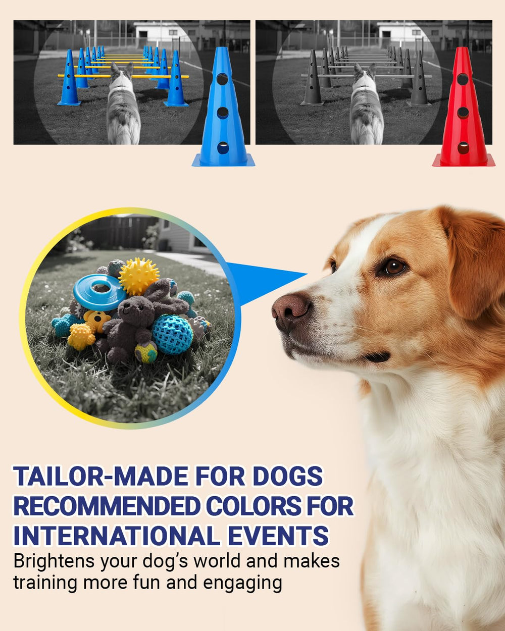 Lupar dog agility cones nest for compact storage after practice sessions.