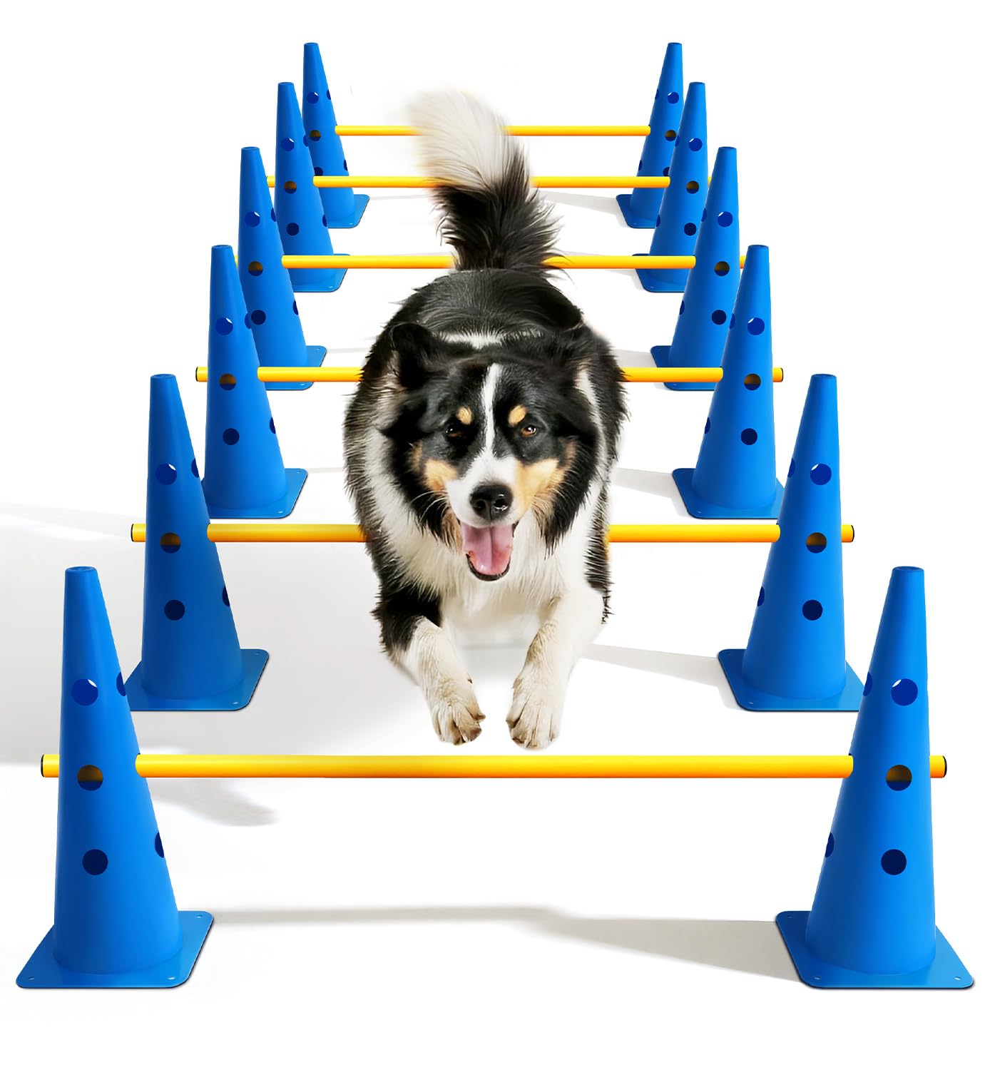 Lupar dog agility course backyard set cones for flexible training layouts and backyard fun.