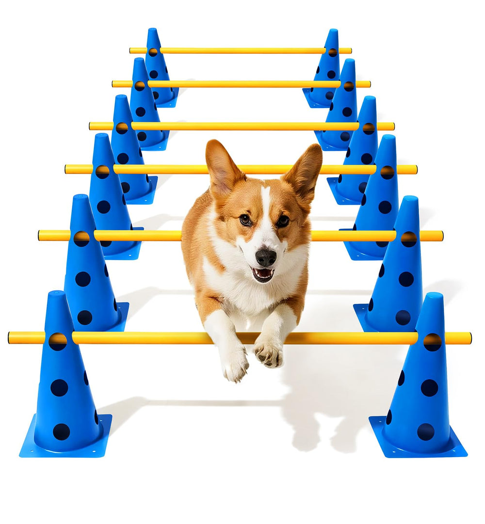 Lupar dog agility course backyard set cover: portable training kit for indoors and outdoors.