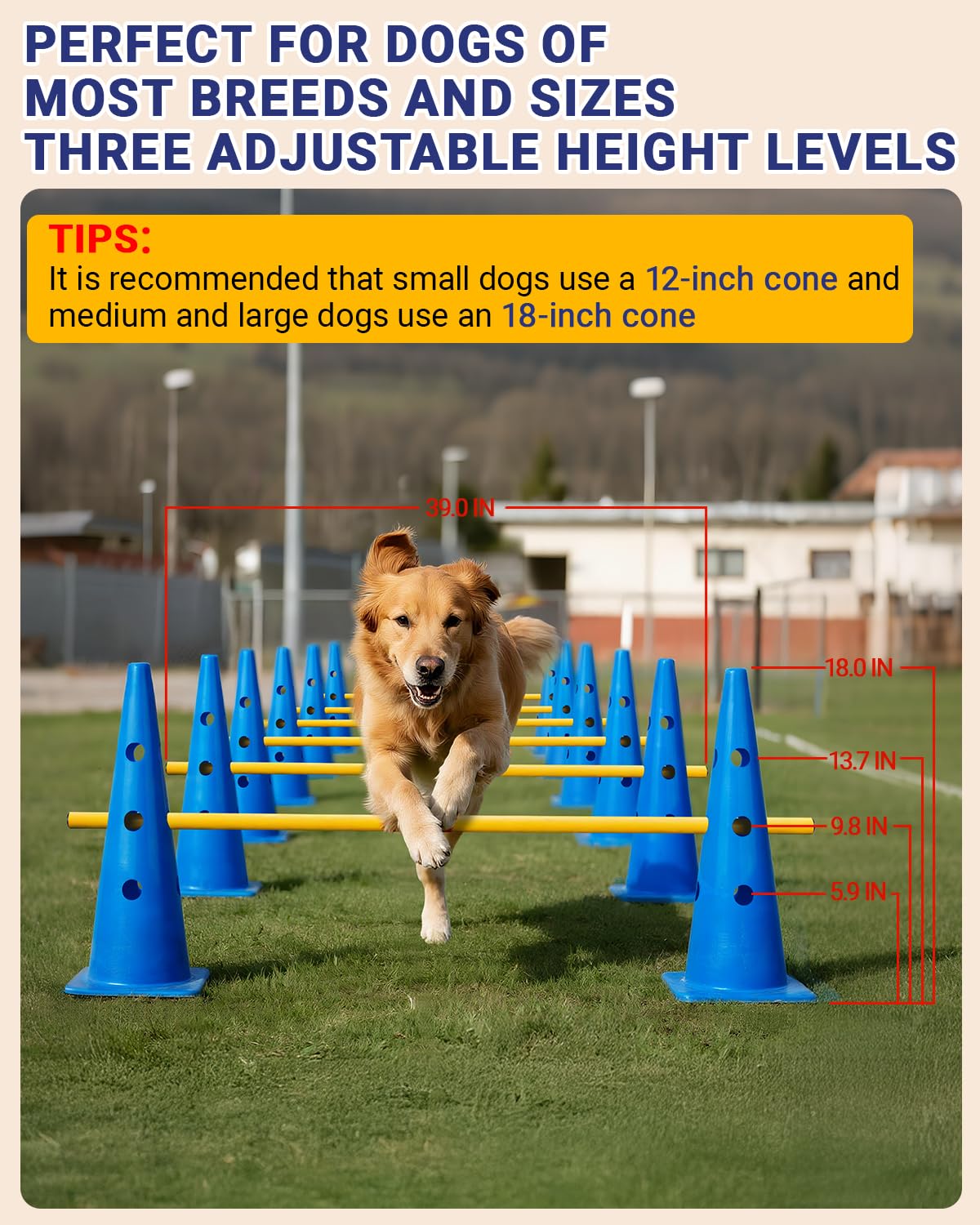 Lupar dog agility crossbar height adjustment shows adjustable jumps for different dog sizes.