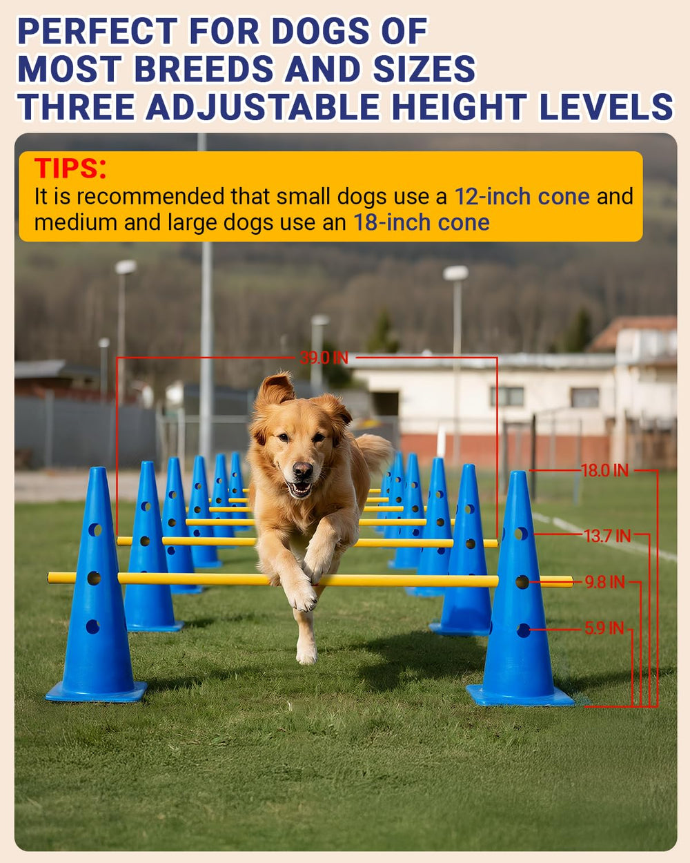 Lupar dog agility crossbar height adjustment shows adjustable jumps for different dog sizes.