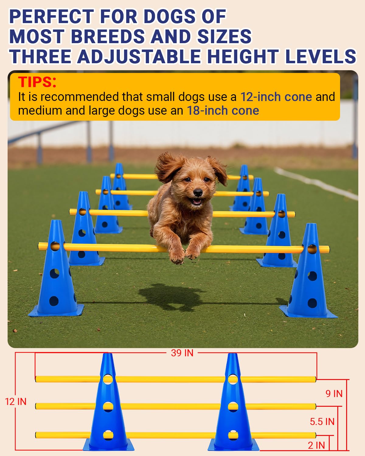Lupar agility hurdle cones assembly showing adjustable layouts for dogs.