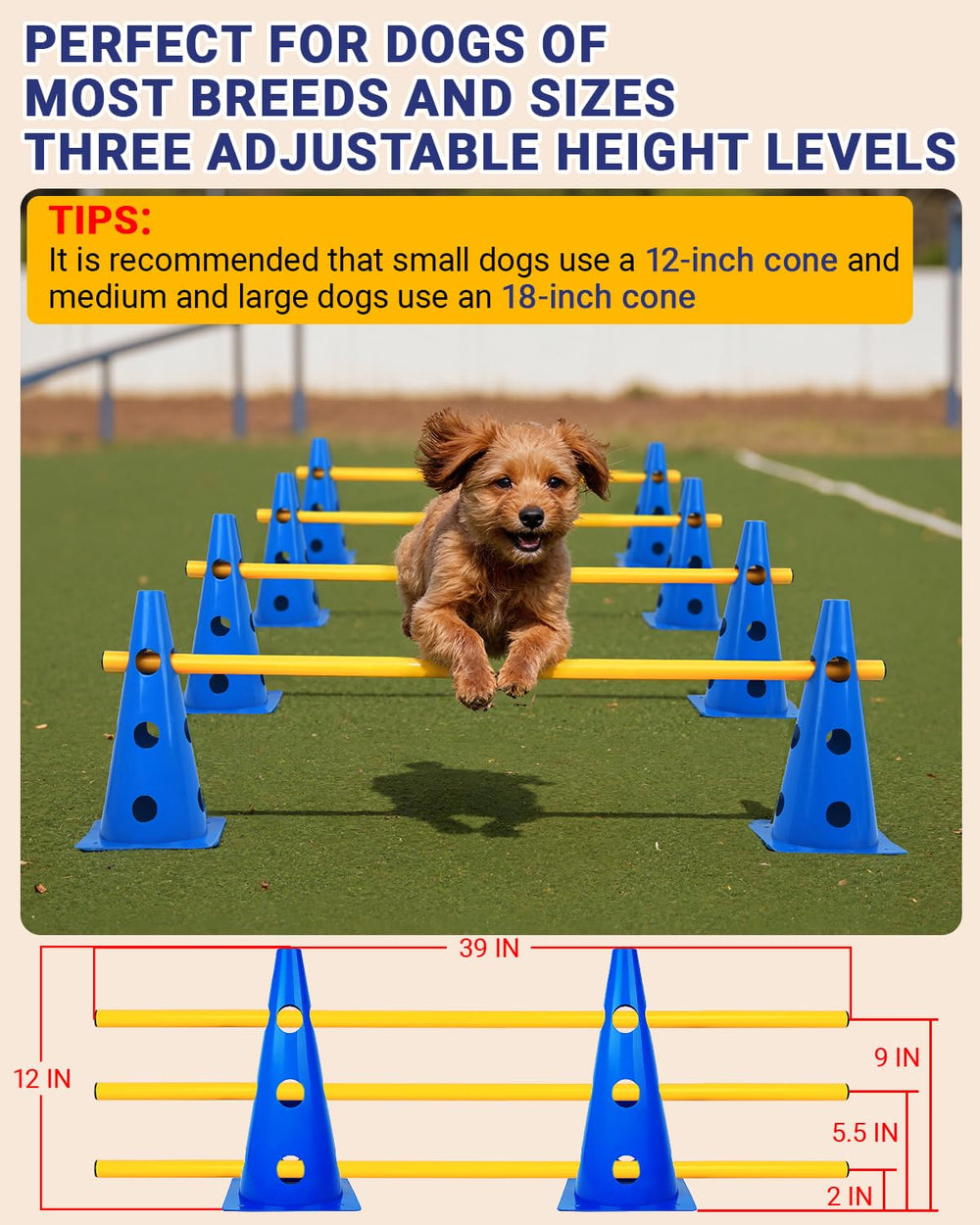Lupar agility hurdle cones assembly showing adjustable layouts for dogs.