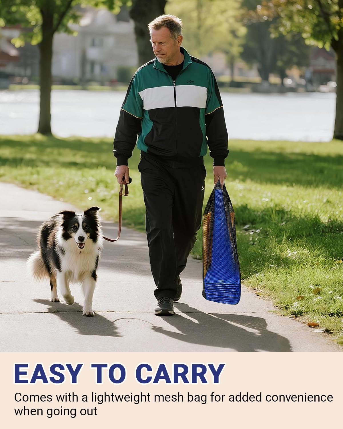 Lupar dog agility jumps at 18 inches with three height options.