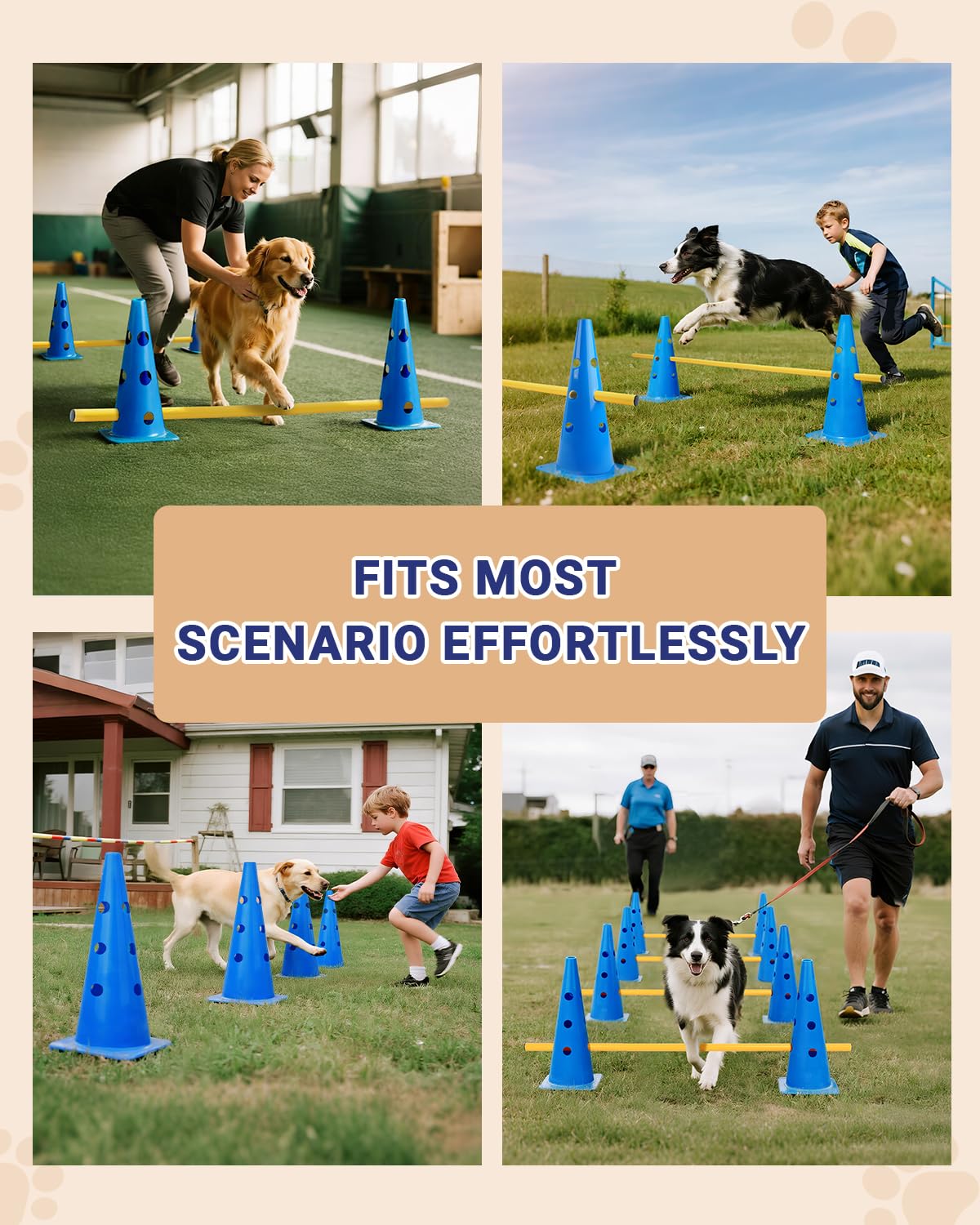 Lupar dog agility training strengthens bonding through active, engaging practice.