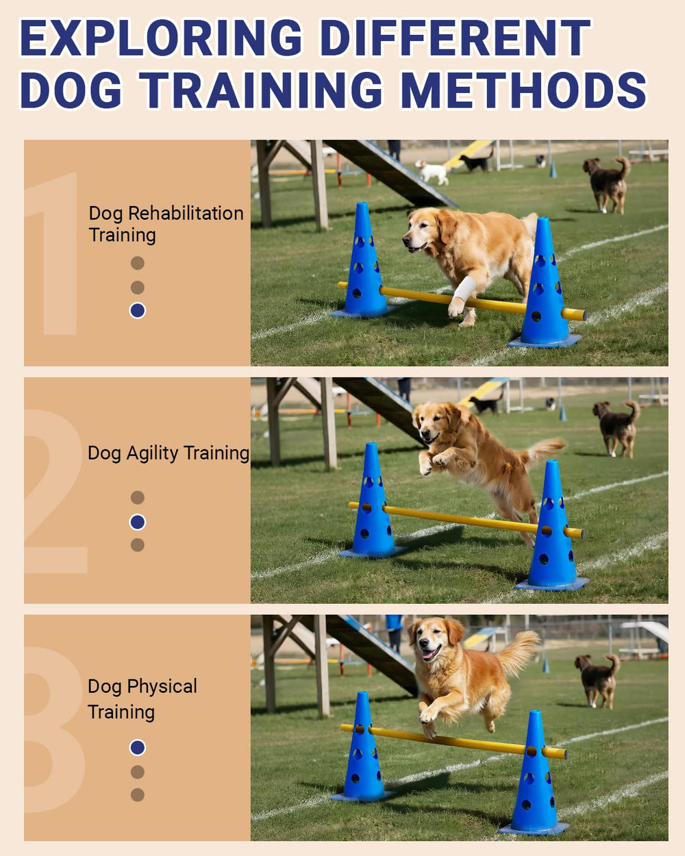Lupar dog agility training set portable storage highlights easy setup indoors or outdoors.
