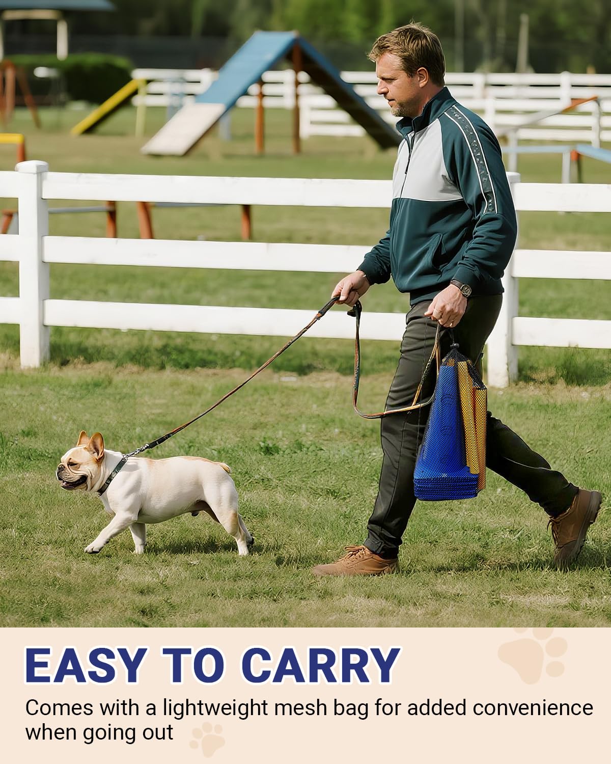 Lupar portable dog agility training set for backyard or indoor use.