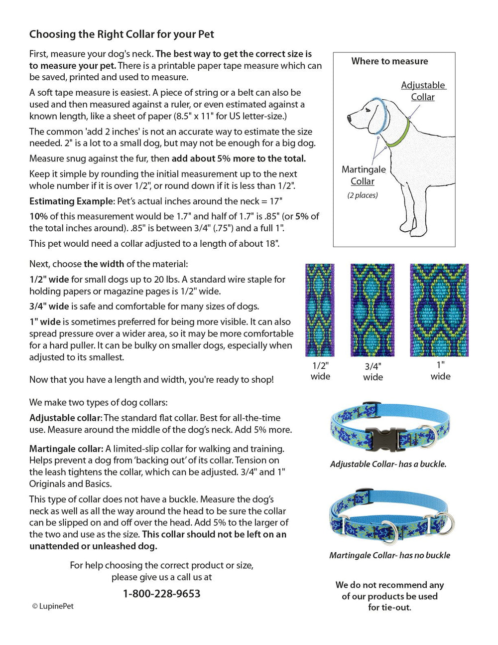 LupinePet 1-inch wide collar worn by dog with 16-28 inch adjustable fit.