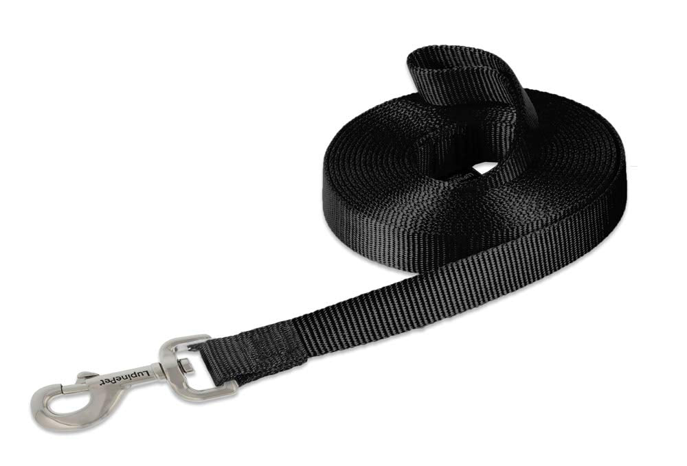 LupinePet Basics 15-foot training lead with self-loop handle for distance training.