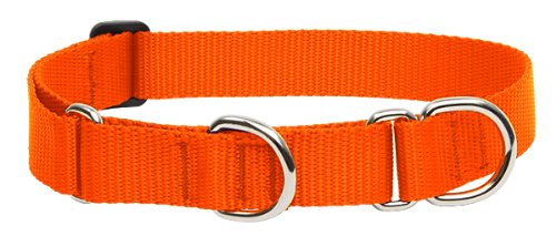 LupinePet Basics 1in Blaze Orange Martingale Collar front view, high visibility for safe walks