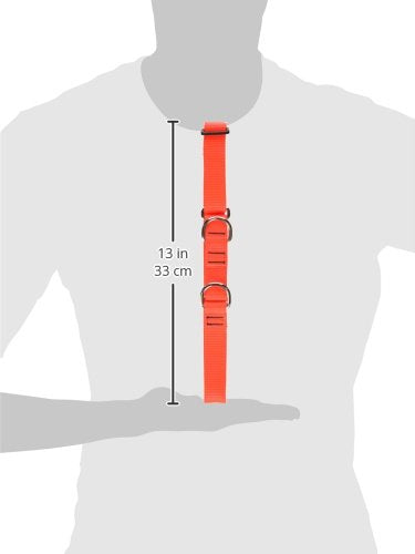 LupinePet Basics 1in Blaze Orange stitching detail highlights sturdy manufacturing