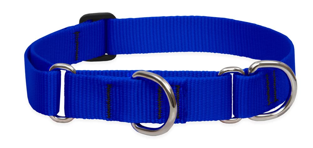 LupinePet Basics 1in blue martingale collar overview for secure daily walks