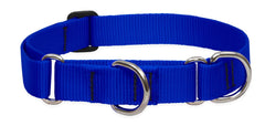 LupinePet Basics 1in blue martingale collar overview for secure daily walks