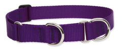 LupinePet Basics 1in purple martingale collar on a large dog for secure walking.