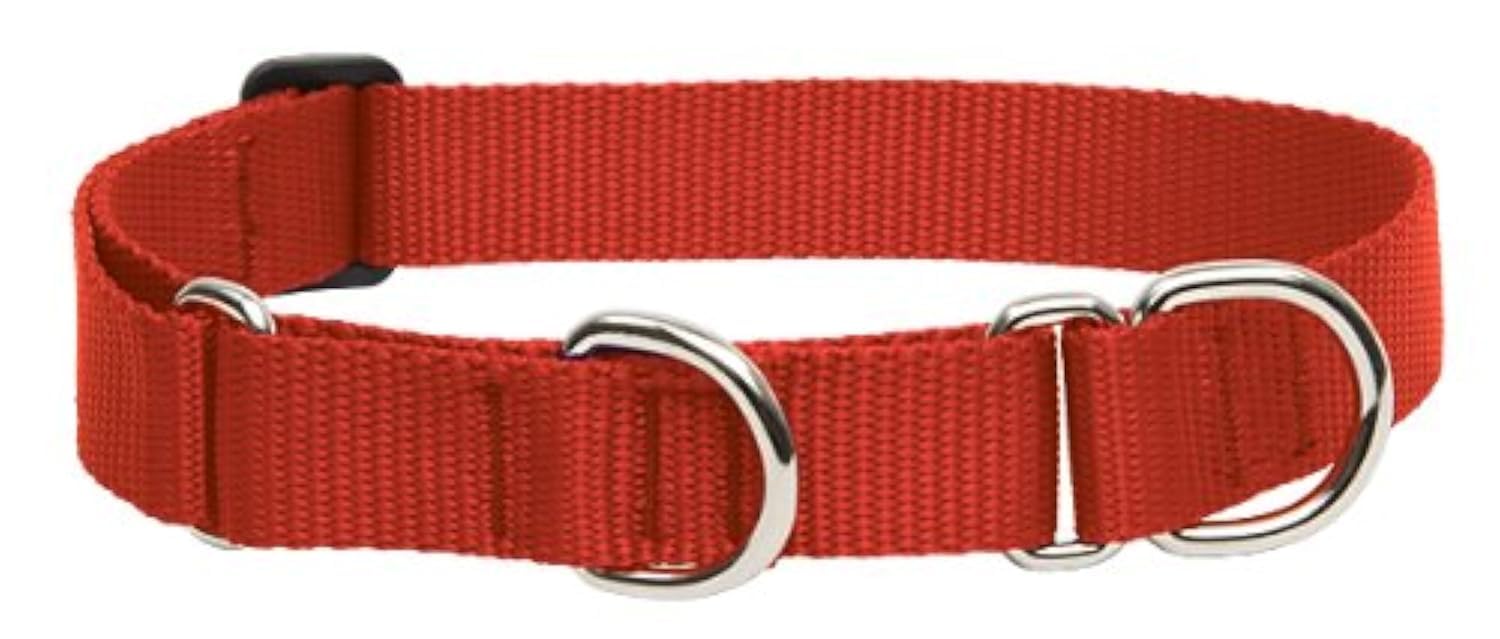 LupinePet Basics 1in red martingale collar front view for everyday walking control