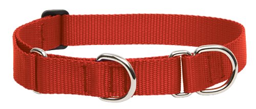 LupinePet Basics red martingale collar for large dogs — durable, secure due to limited-slip action.