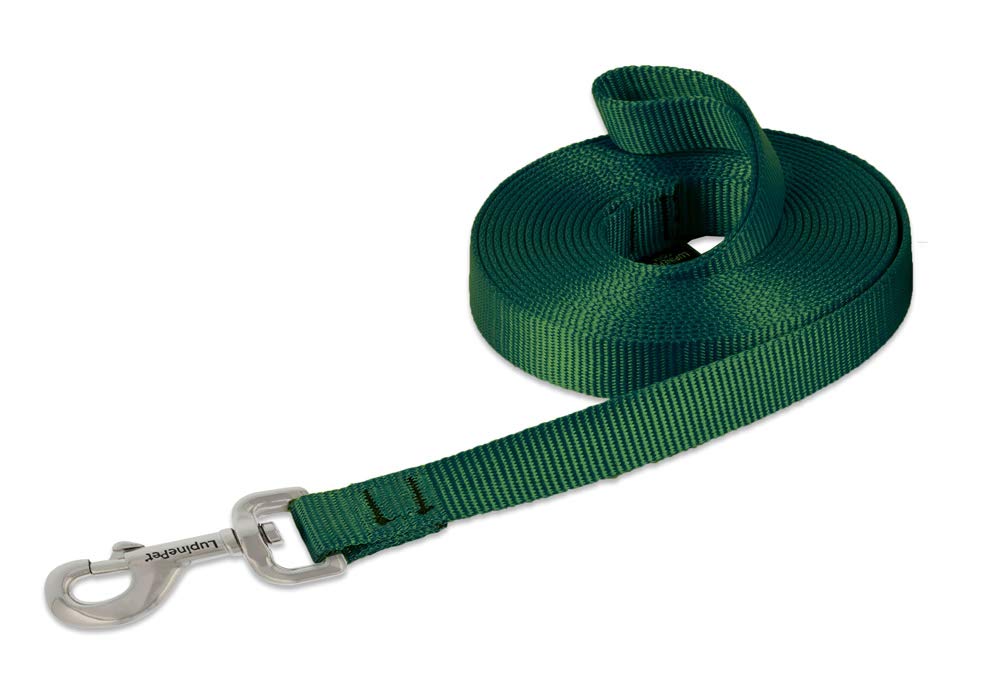 LupinePet Basics 3-4 green training lead close-up showing durable stitching for long training sessions