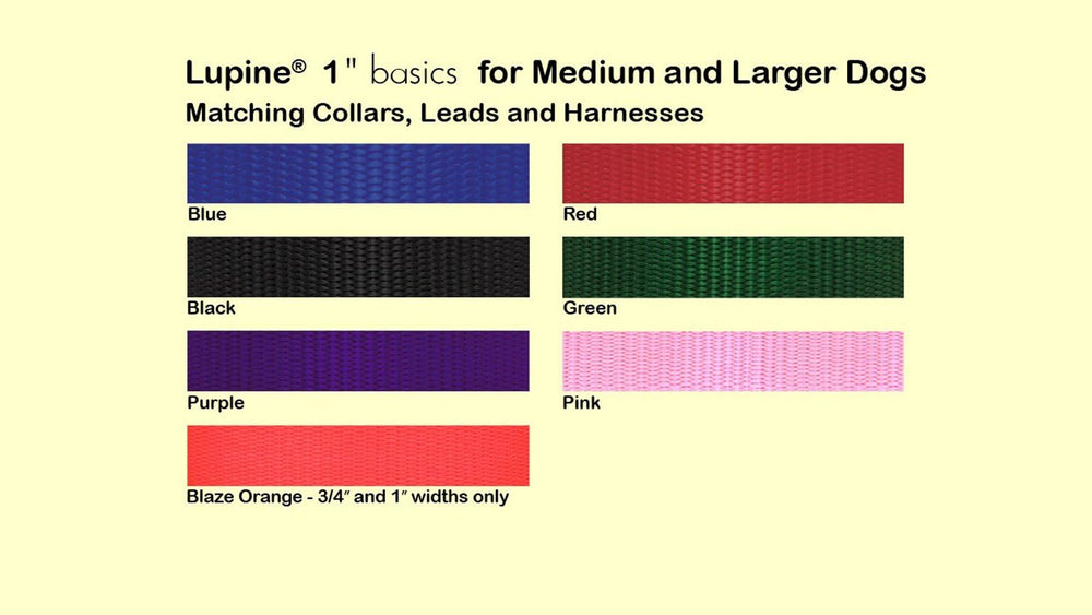 LupinePet Basics dog wearing red collar during walk demonstrates comfortable fit
