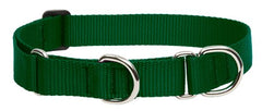 LupinePet Basics green martingale collar on a dog during a walk for secure control.