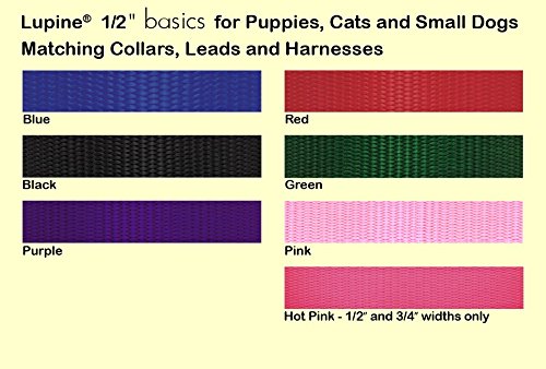 LupinePet Basics 1/2-inch red leash with self-loop handle supports reliable recall training.