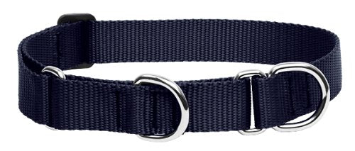 LupinePet Basics martingale collar in black offers secure daily walks and training control.